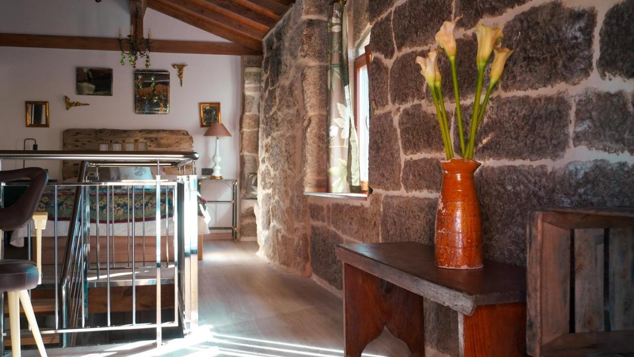 Casa La Trinidad - Ribeira Sacra Lägenhet Nogueira De Ramuin Exteriör bild